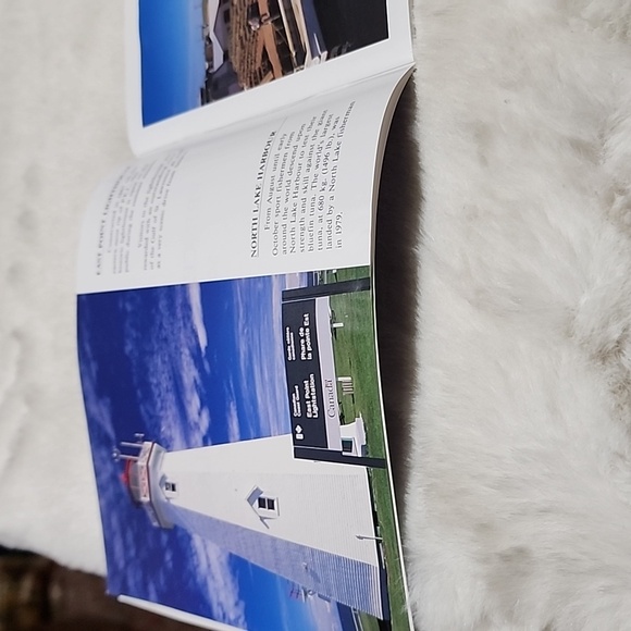 PRINCE EDWARD ISLAND  SOUVENIR BOOKLET. DAVID TOWLER 1991. - Picture 4 of 6